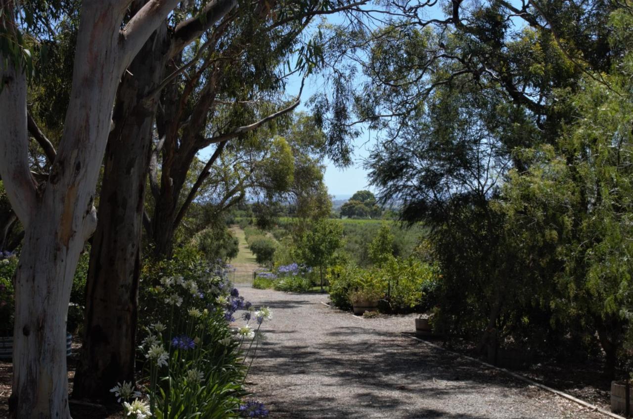 The Farm Willunga Acomodação com café da manhã Exterior foto